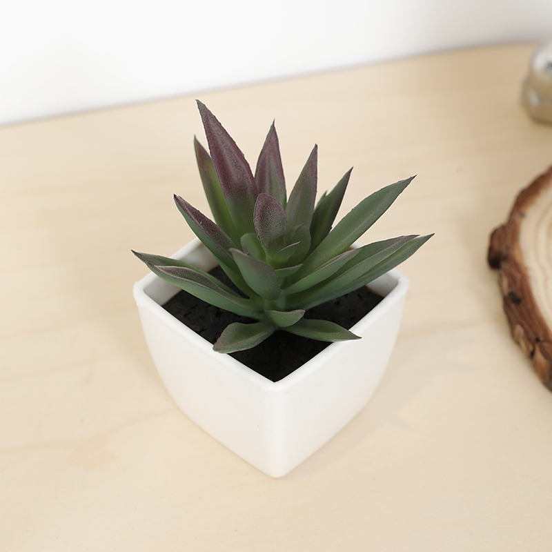 Bonsai Garden Accessories - كوب خرافي صناعي صغير، نبات صغير