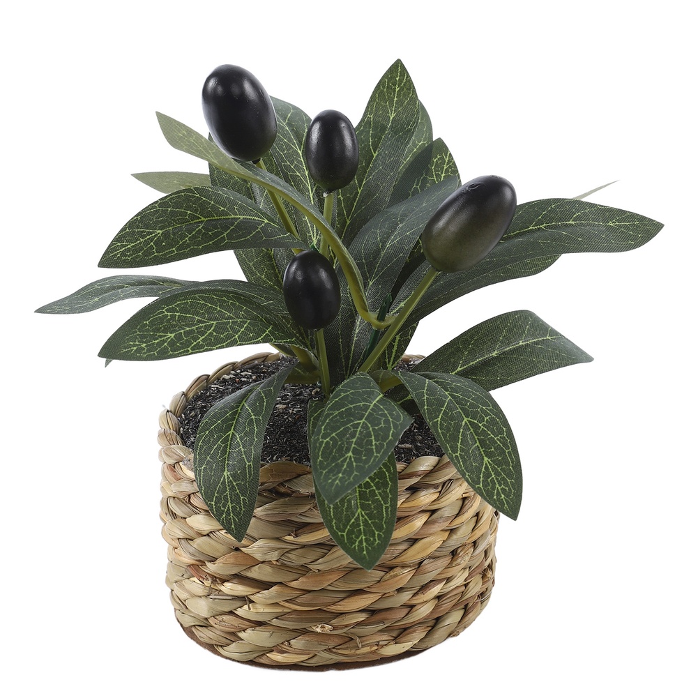 شجرة زيتون اصطناعية في وعاء لل - مراجعة Bonsai Garden Accessories وسعره