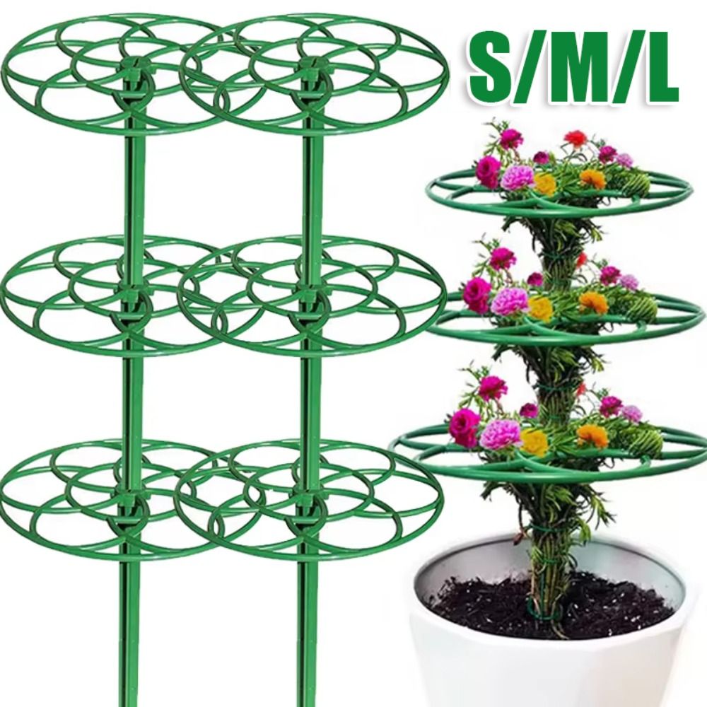 إطار تسلق متين للنباتات الصغير - مراجعة Bonsai Garden Stand وسعره