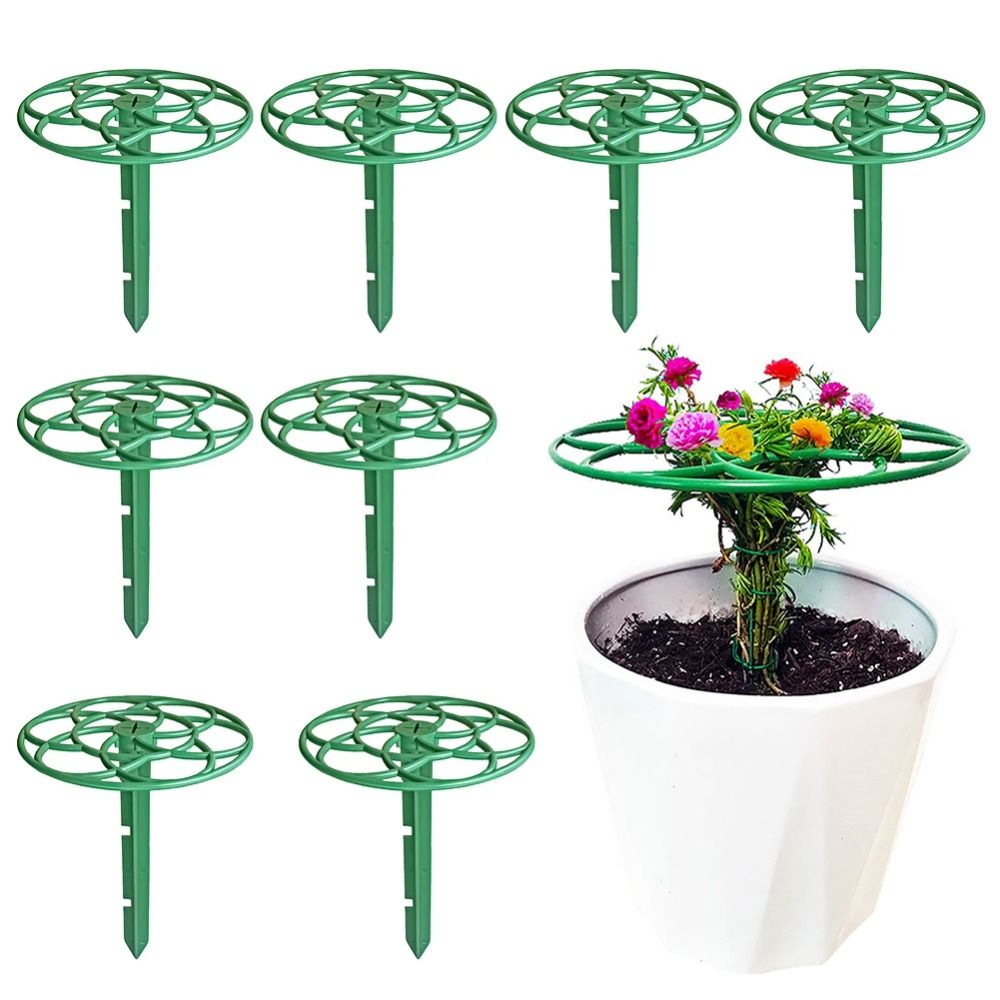 إطار تسلق البونساي من البلاستي - مراجعة Bonsai Garden Stand وسعره
