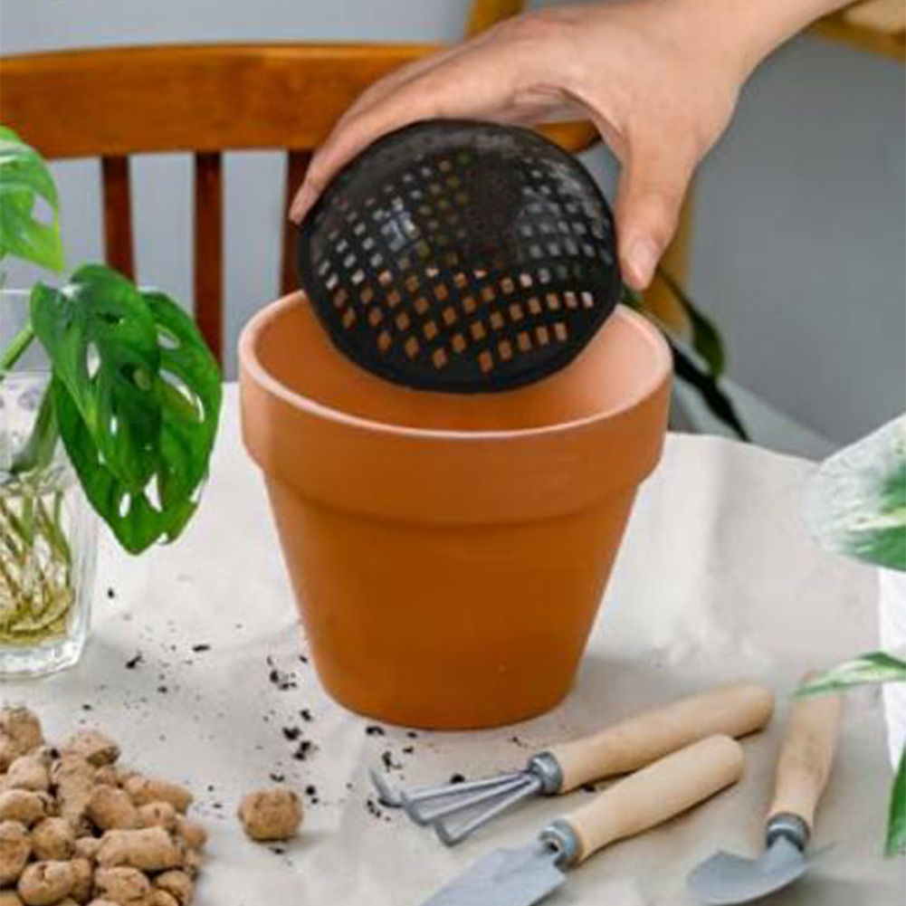 20/30 قطعة من وسادات شبكيّة لأ - مراجعة Bonsai Garden Accessories وسعره