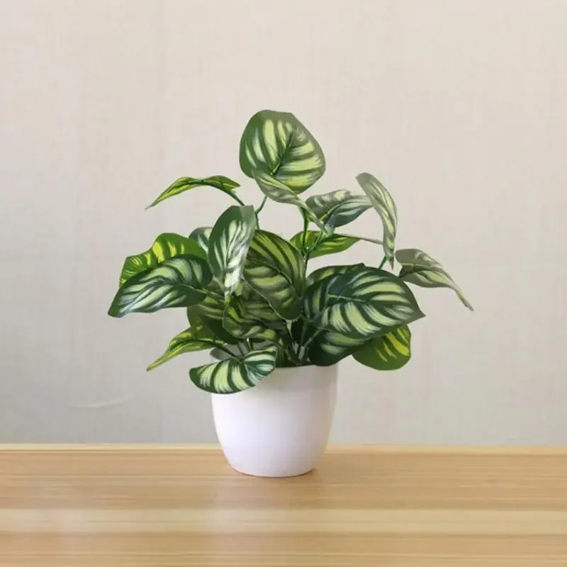 النباتات الاصطناعية بونساي الن - مراجعة Bonsai Garden Accessories وسعره