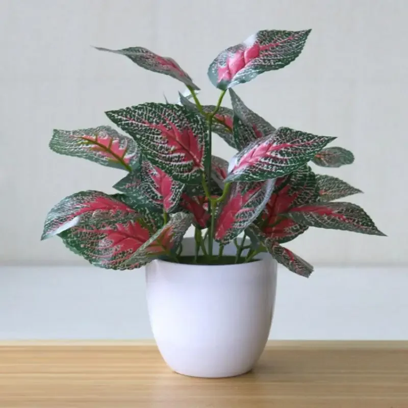 النباتات الاصطناعية بونساي الن - مراجعة Bonsai Garden Accessories وسعره